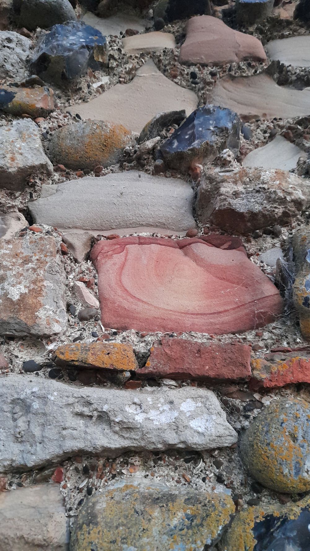 image 19