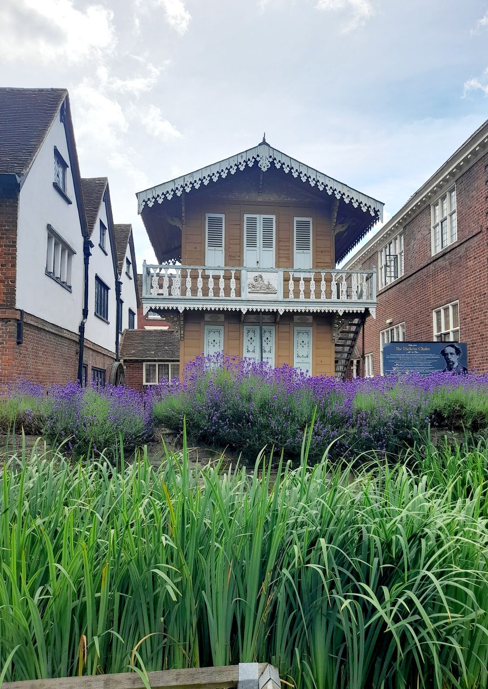 image 21