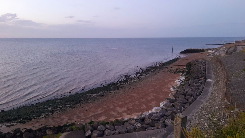 image 14