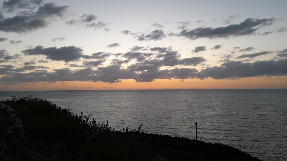 image 16