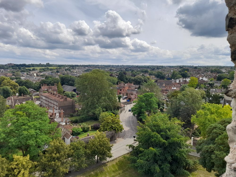 image 31
