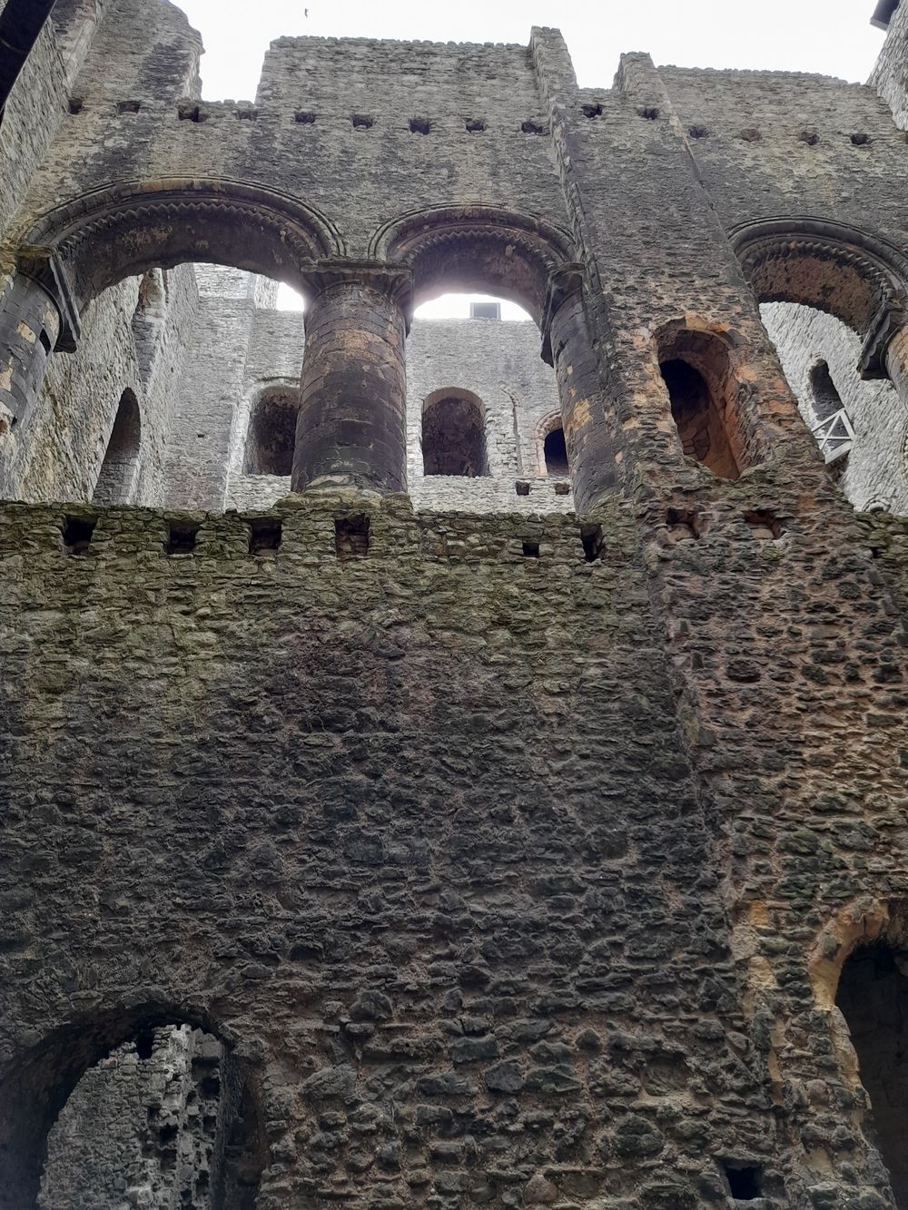 image 16