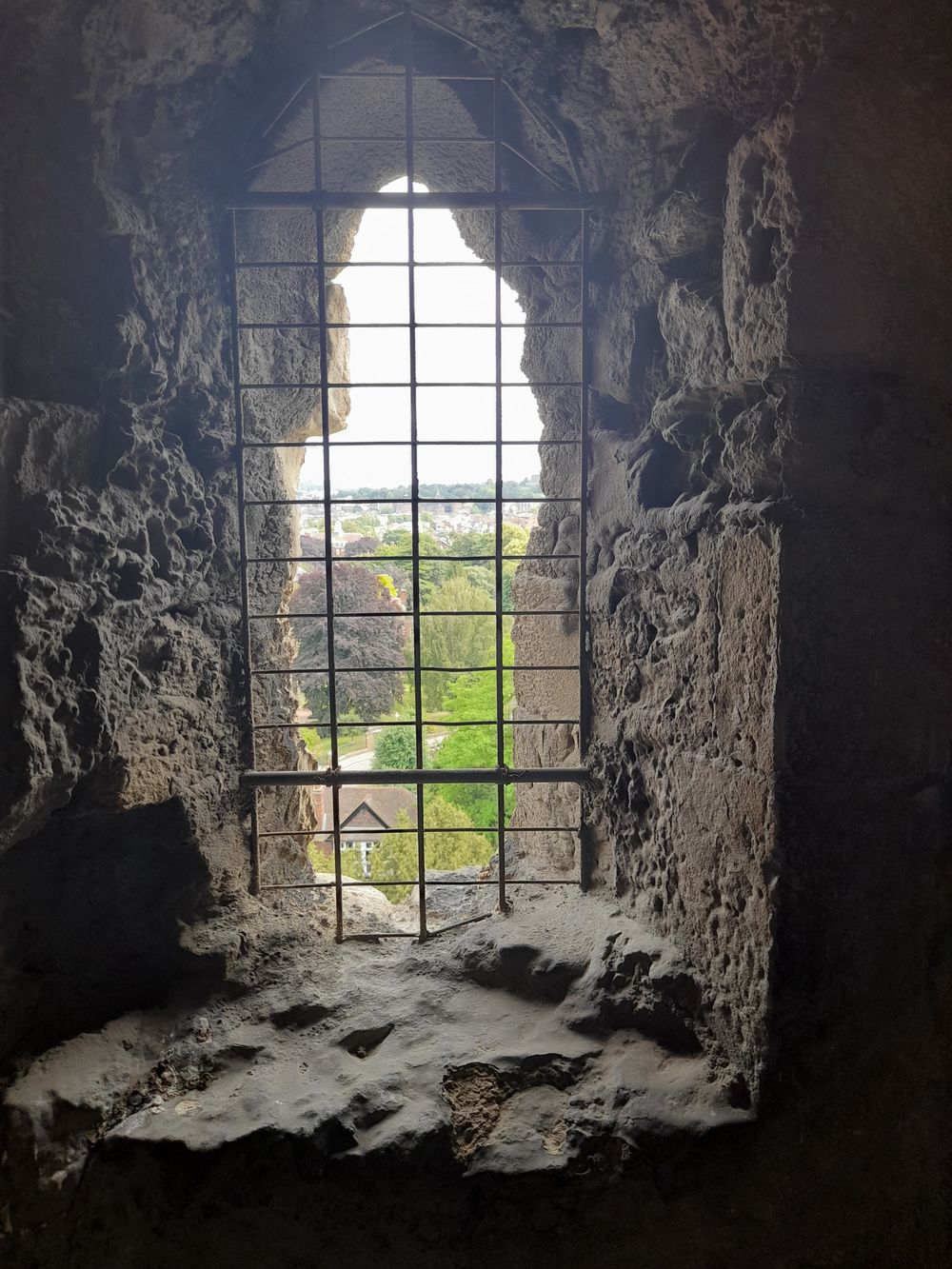 image 29