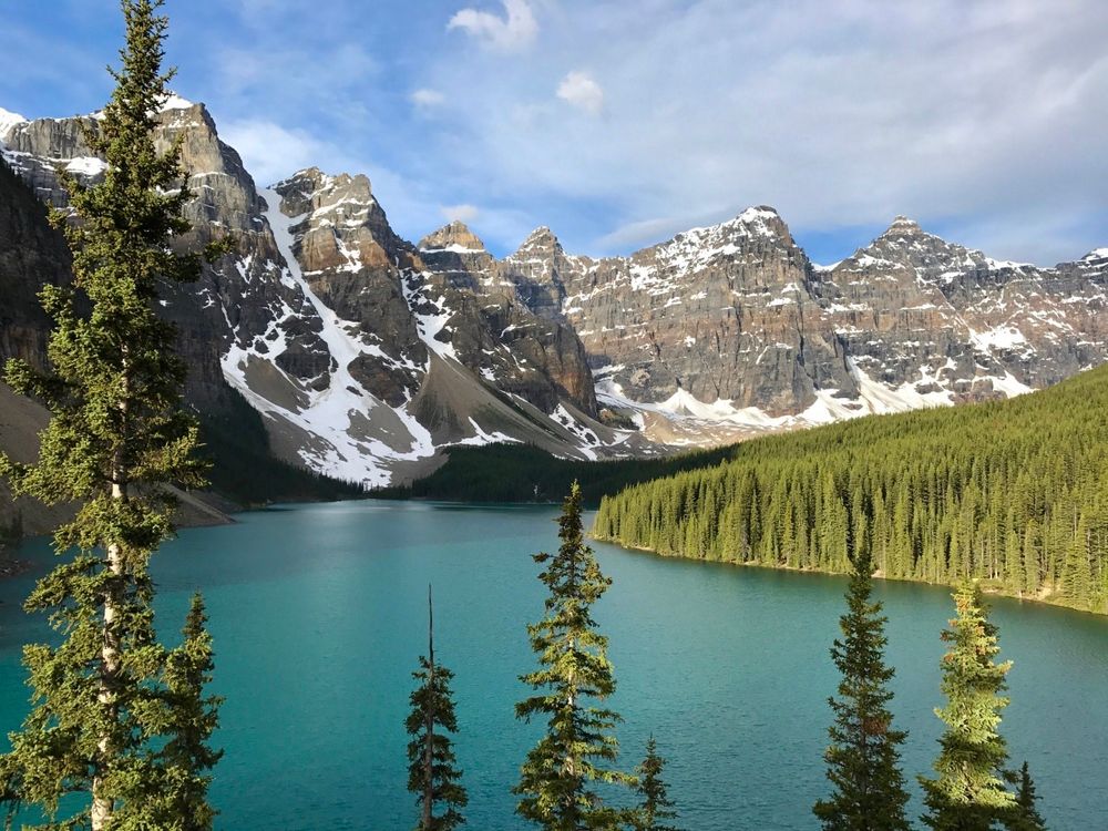 image 31