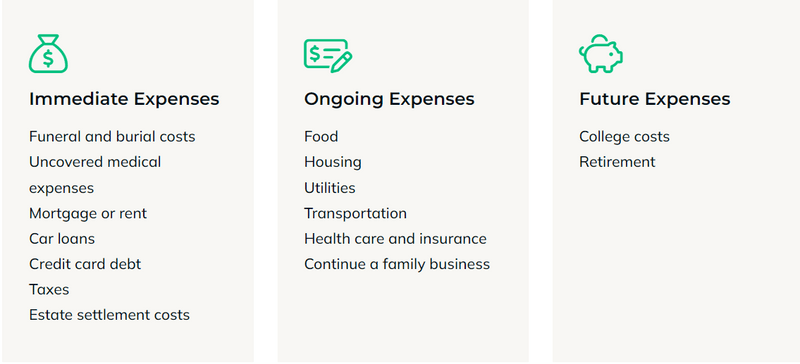 Life Insurance 101