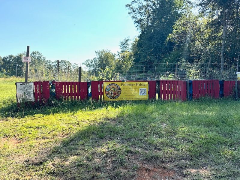 Starting a Pollinator Habitat our Journey to Support Our Honeybees and Pollinators