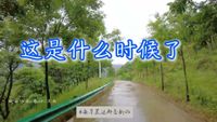 0401 这是什么时候了