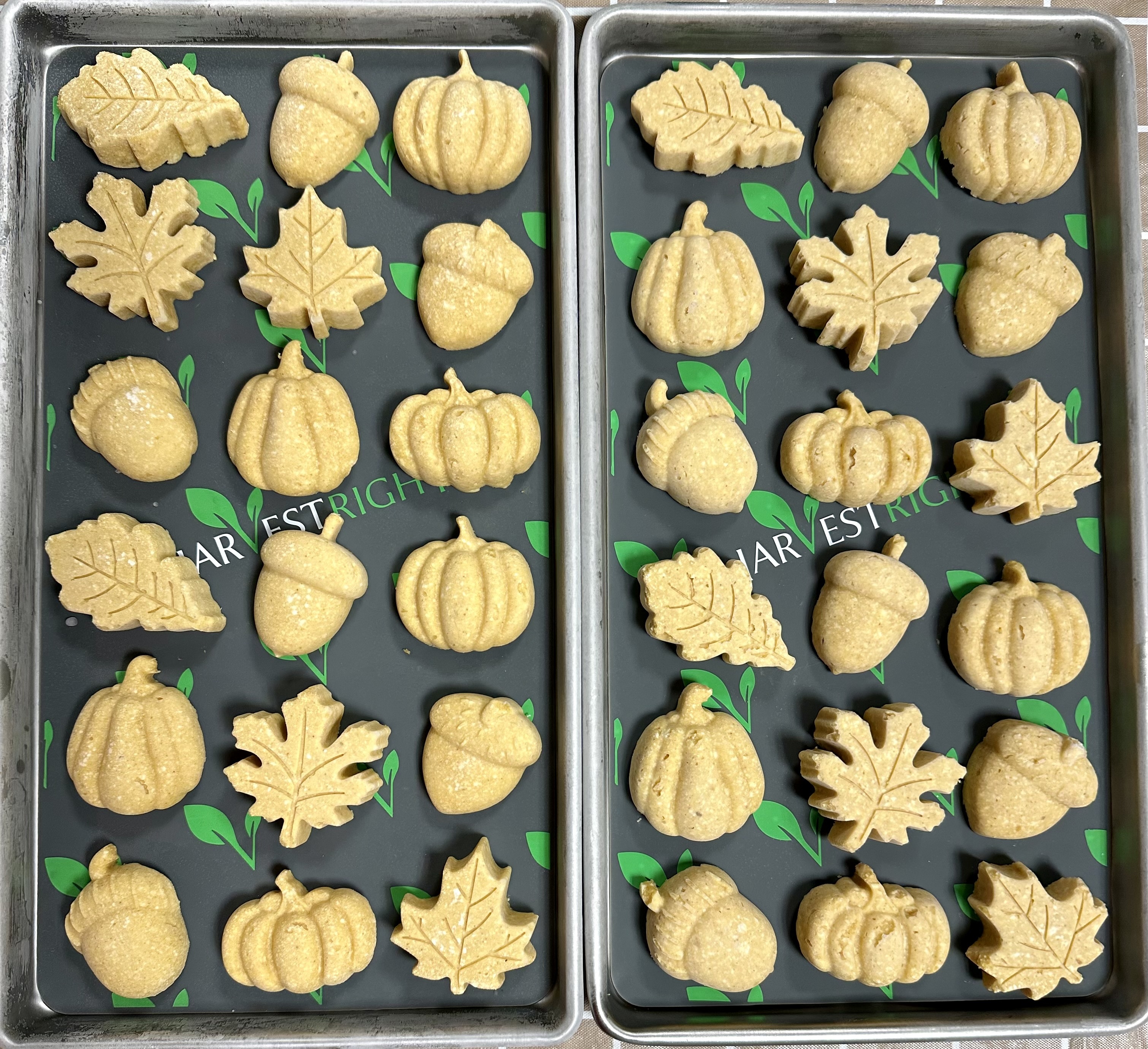 Recipe - Pumpkin Pie Bites Using Silicone Food Molds — Ann Marie