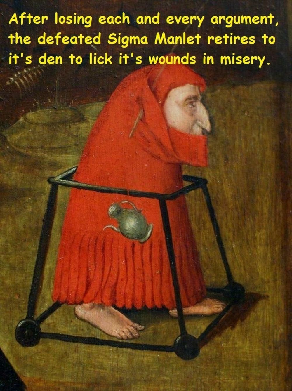 image 23