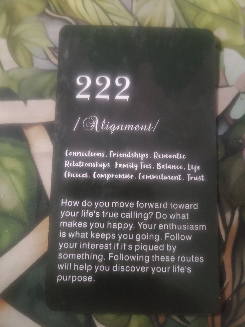 Angel number for the 15th of December 2024