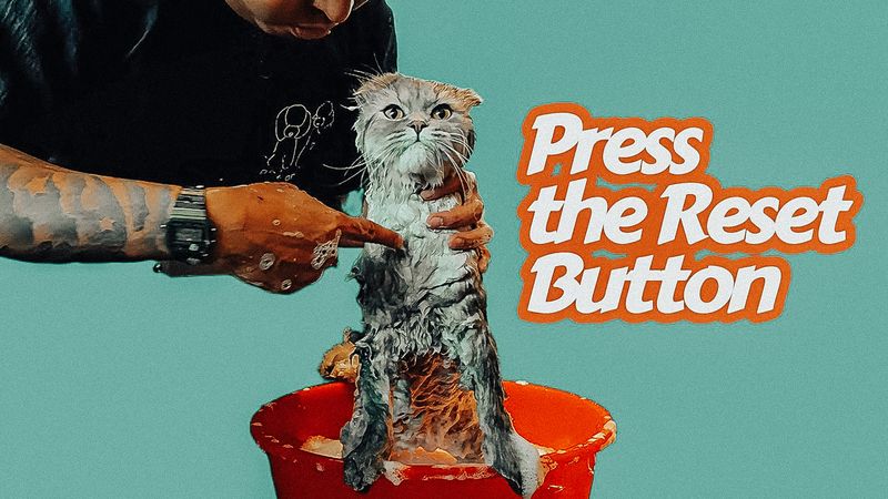 Fuku is the chillest cat ever. https://youtu.be/2SvoL7ysKo4
