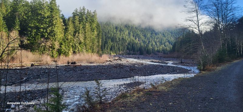 Ipsut Creek Campground and Carbon River Trail Review