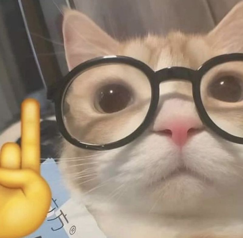 ˗ˏˋ ★ ˎˊ˗ Dicas p/ estudos ˗ˏˋ ★ ˎˊ˗