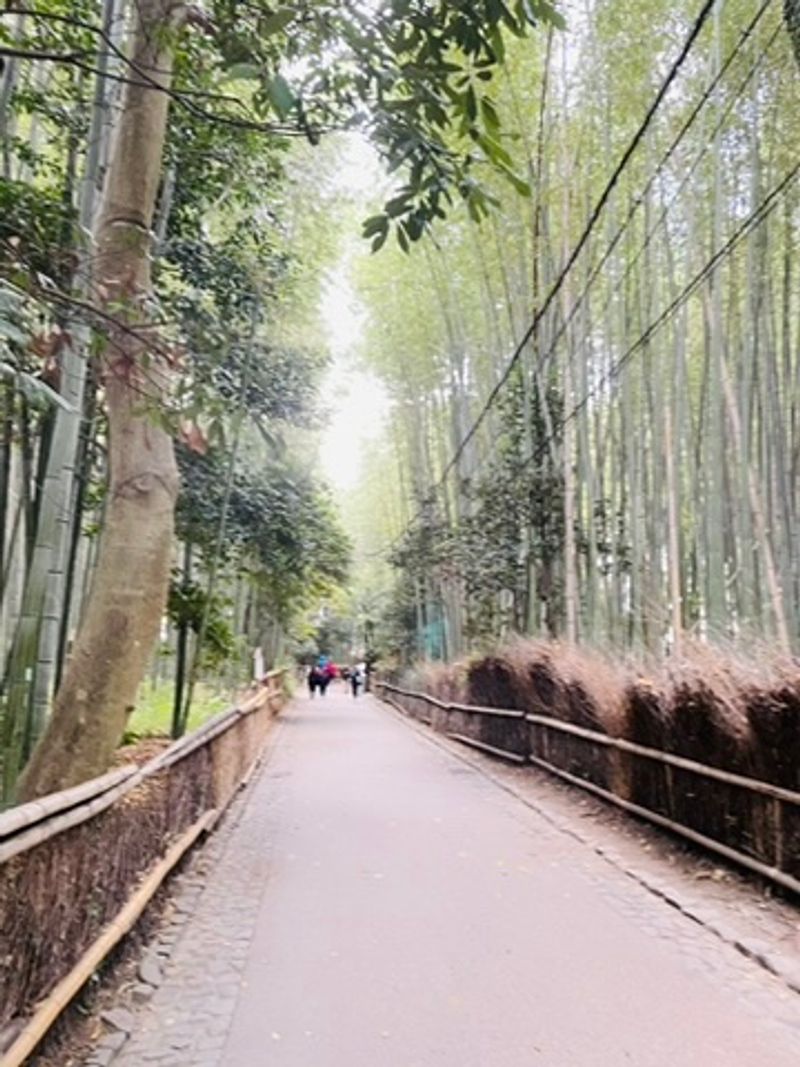 Bamboo Street