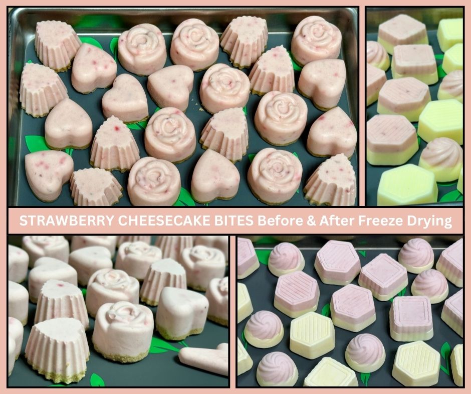 Making Freeze Dried Strawberry No-Bake Cheesecake Bites — Ann Marie