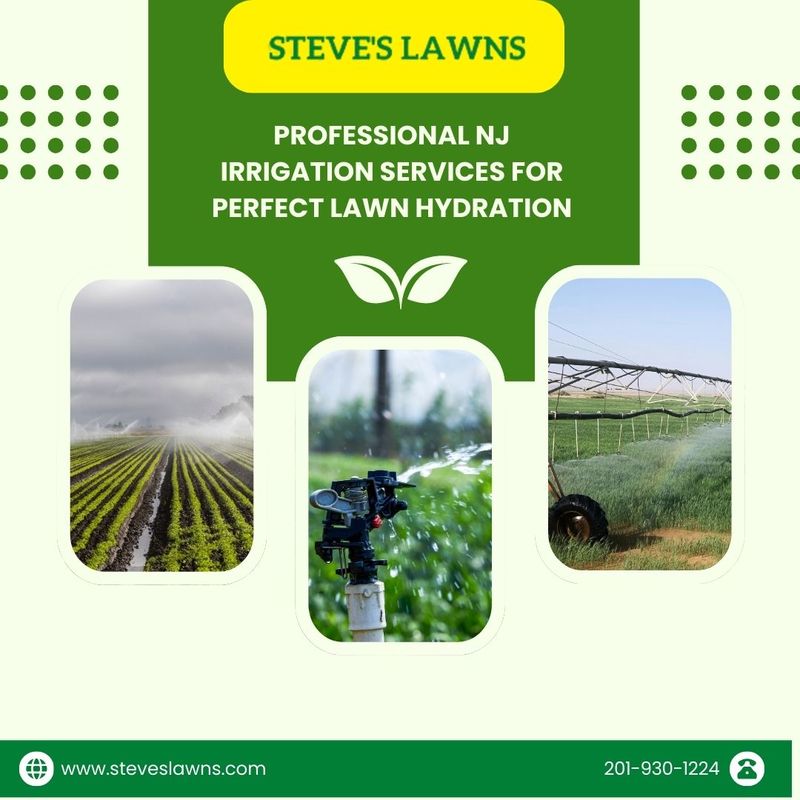 Reliable NJ Irrigation Services for a Lush, Green Lawn