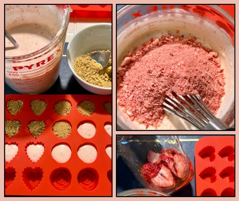 Making Freeze Dried Strawberry No-Bake Cheesecake Bites — Ann Marie