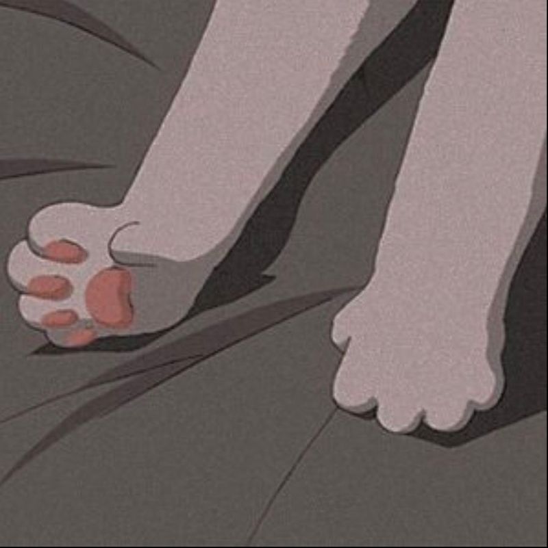 Cat Skin