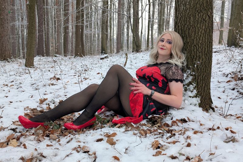 Wonderland of the Winter Queen ❄️