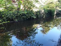 Water of Leith Waterfall