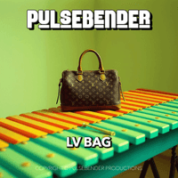 LV Bag