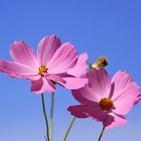 pray_1,2 （relaxation piano music）