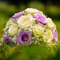 white flowers (relaxing piano music)