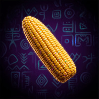 Corn Maize
