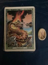 Fall 2026 collective Animal totem and Rune reading