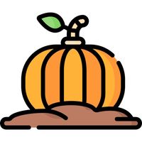 Pumpkin Problems