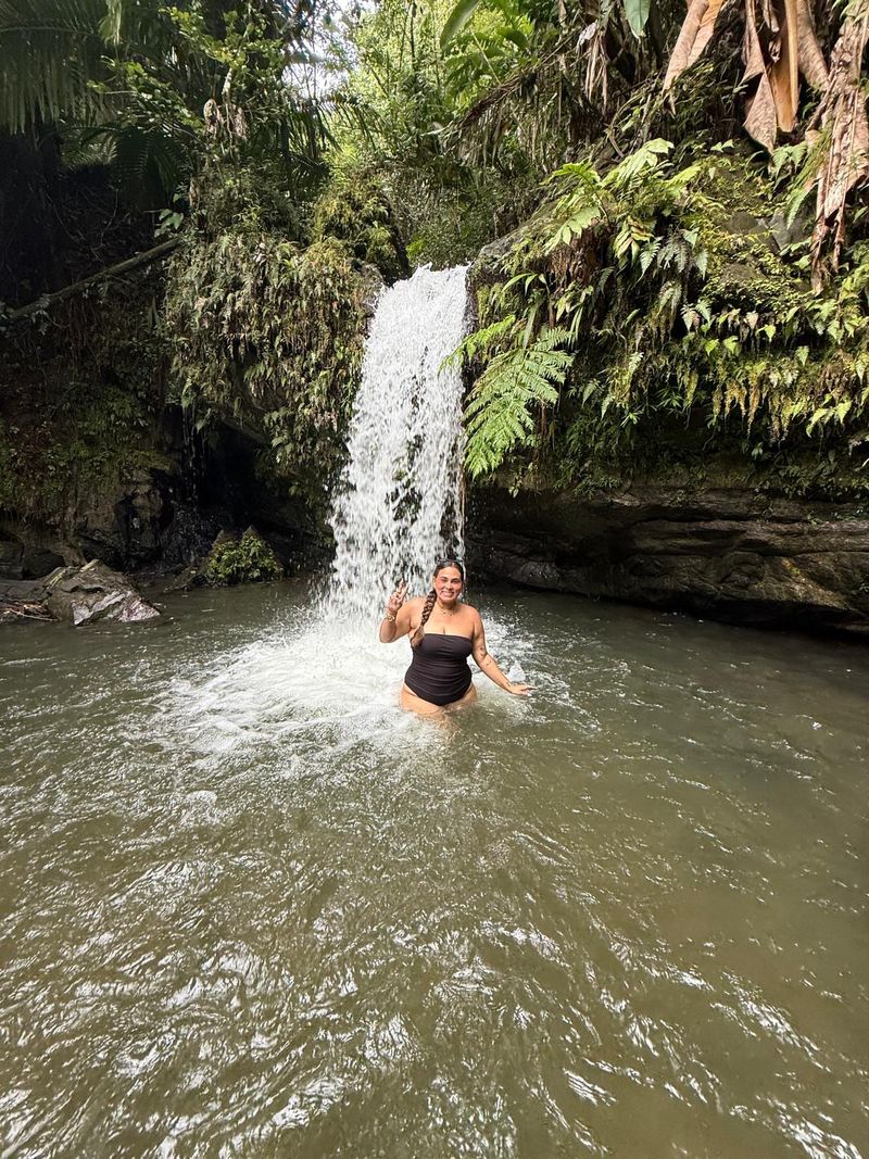 El Yunque 💚🌴