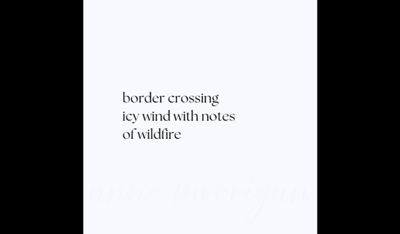 haiku 2025
