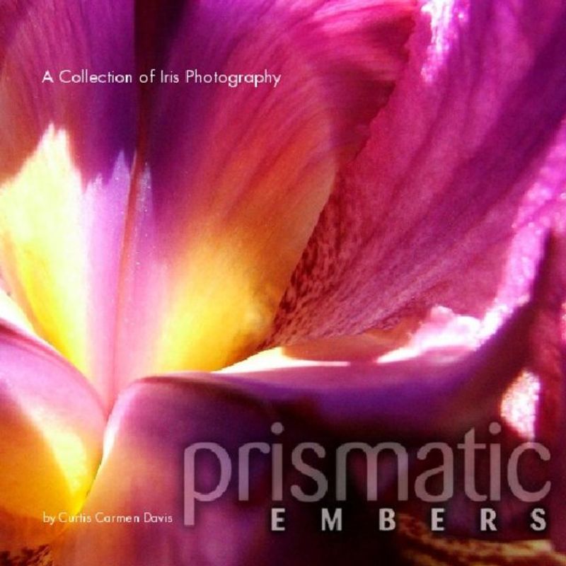 The Prismatic Embers $4.99 EBook Special Is Still Available!