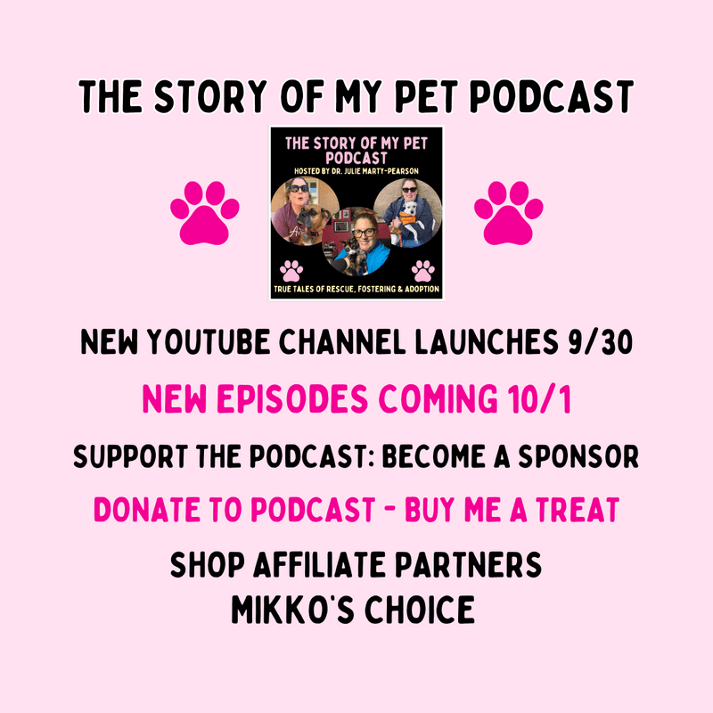 Support Our New YouTube Channel