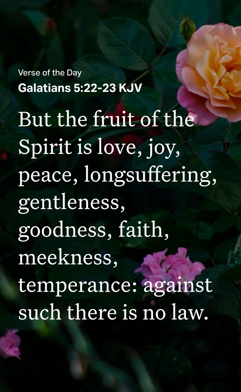 Verse of the day