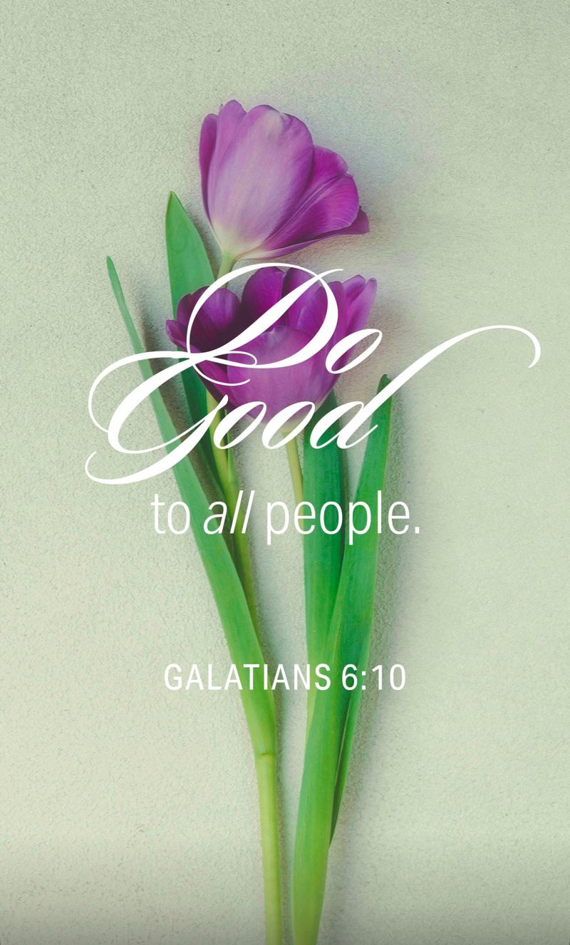 Verse of the day 💛