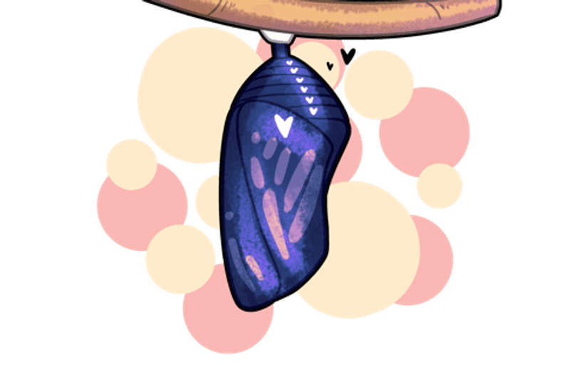 Chrysalis
