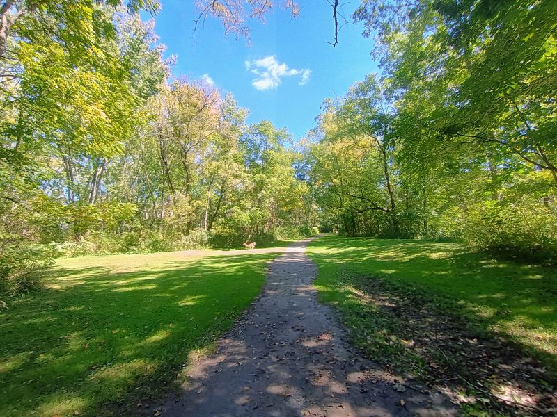 Trail Pictures