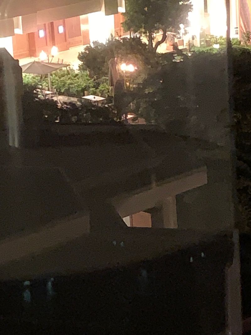 Horror in Hawaii