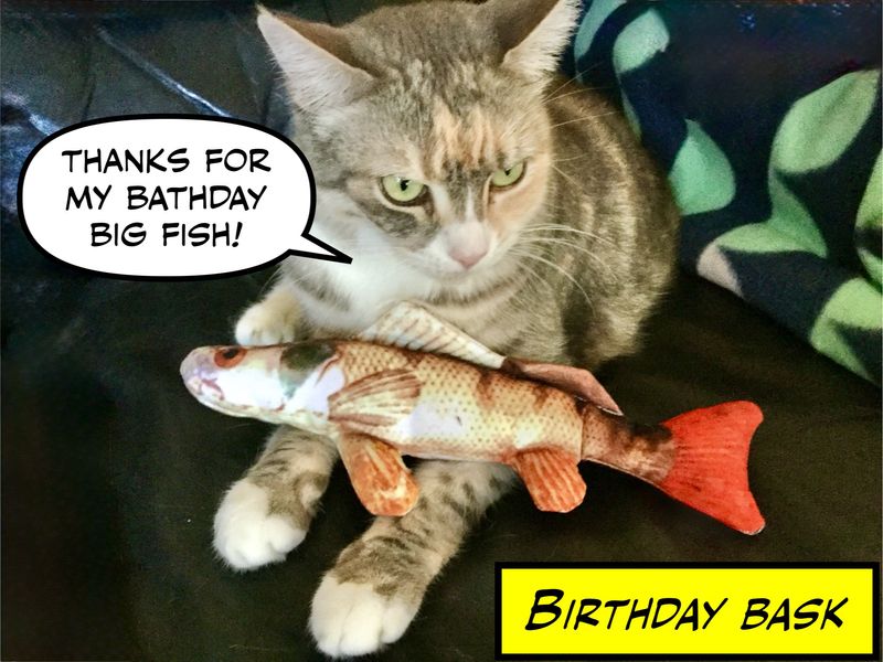 Bask gets her big fish!