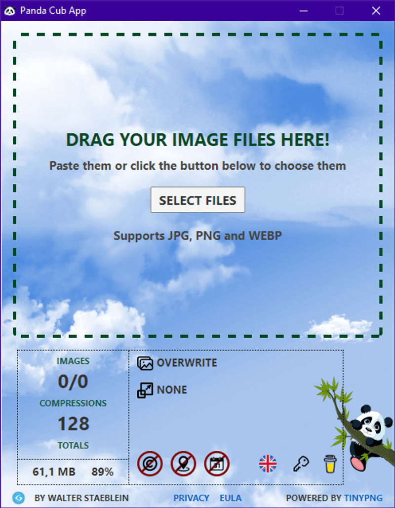 Panda Cub App