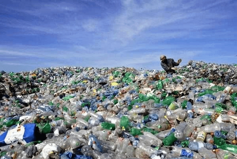 Transforming Plastic Waste into Sustainable Solutions
