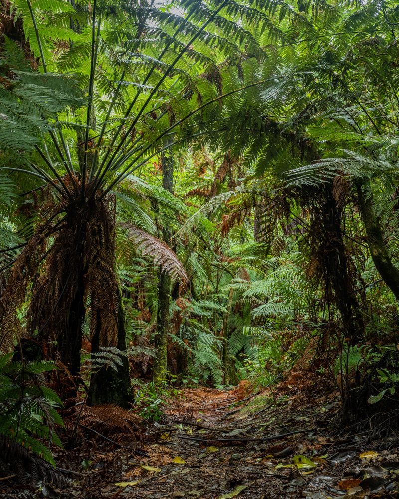 Finding Color in the Rain: A Week at Momorangi Bay