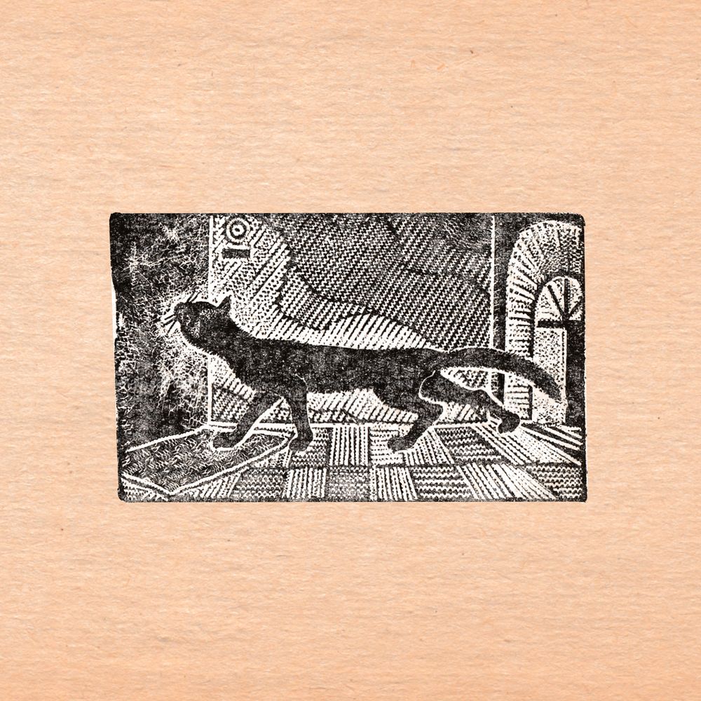 image 17