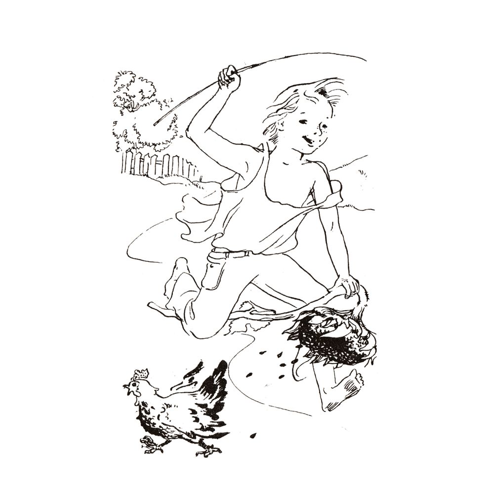 image 22