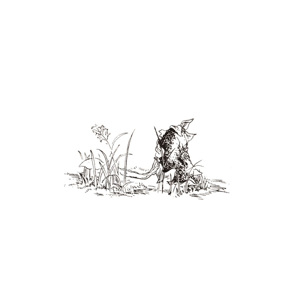 image 23