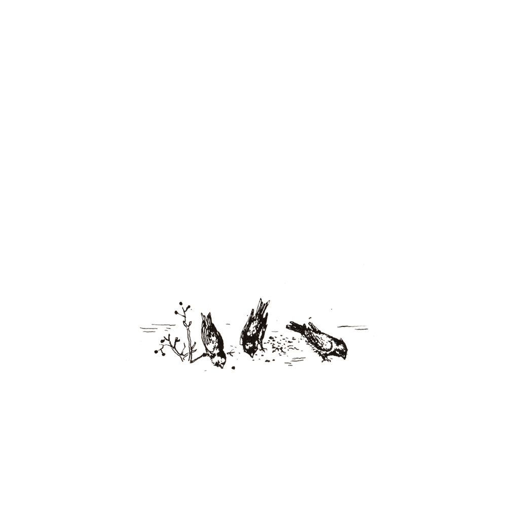 image 26