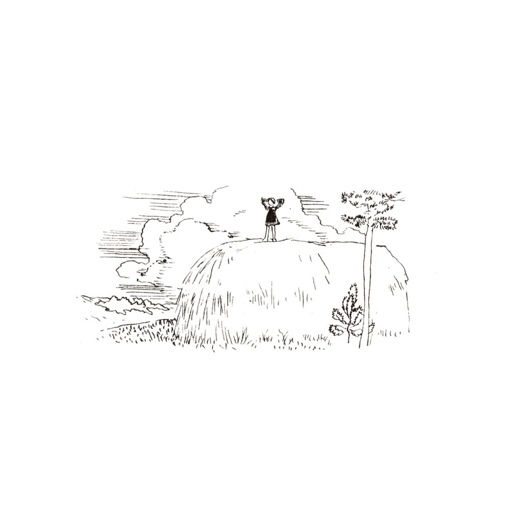 image 27