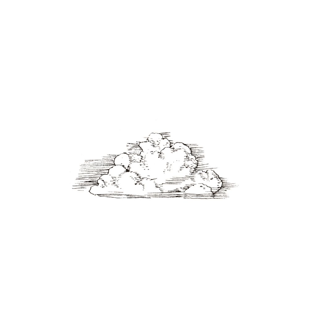 image 28