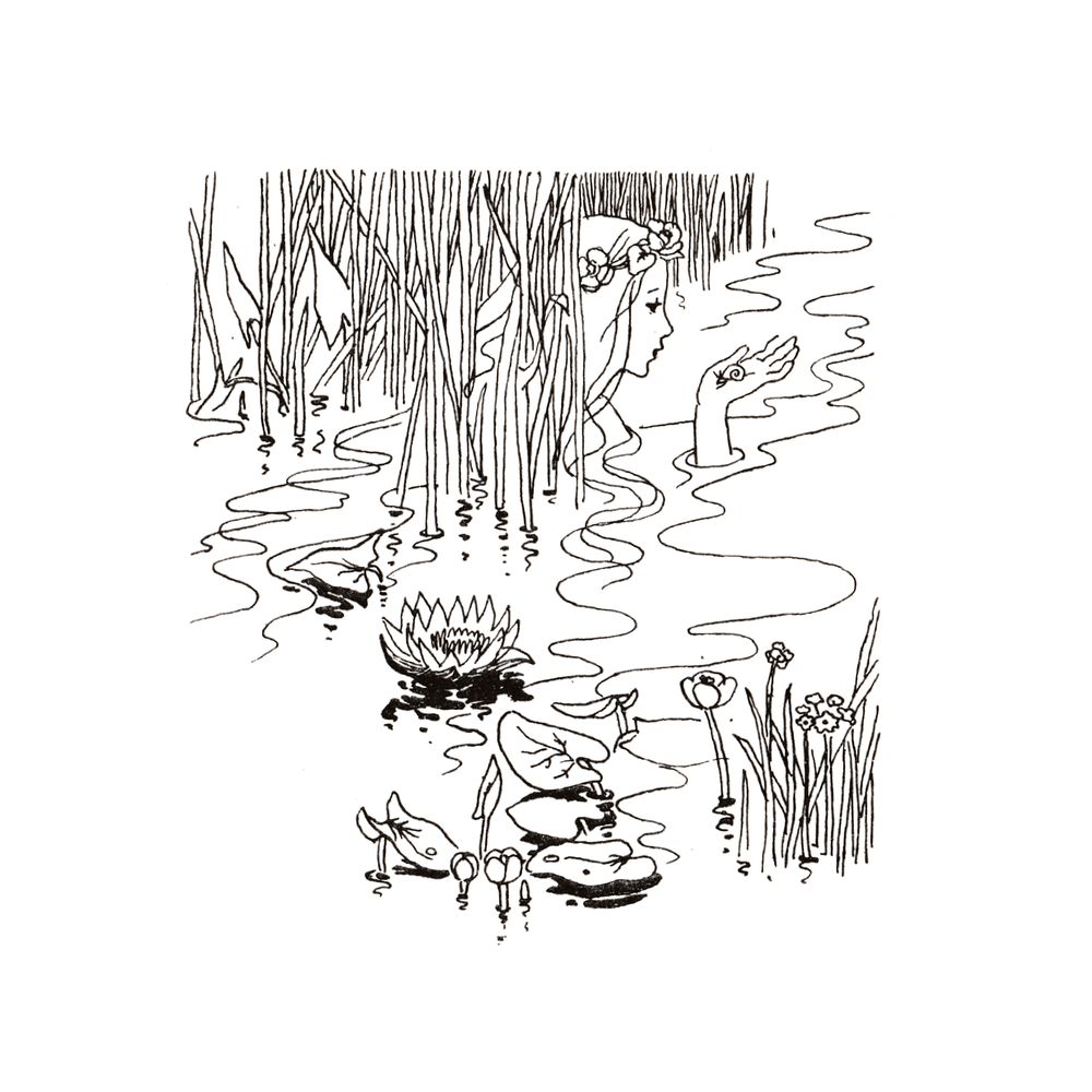 image 29